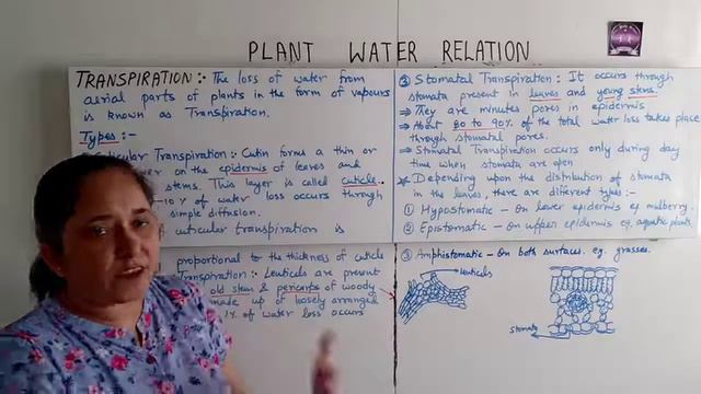 PLANT WATER RELATION 05||TRANSPORT OF FOOD, TRANSPIRATION, STOMATA - STRUCTURE & MECHANISM||CLASS 1 смотреть онлайн
