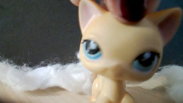 Синий кит рассказ важная информация смотреть онлайн