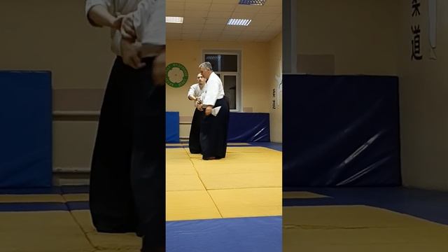 Семинар шихана Роберта Гембала Гродно. Каеши ваза нике-еко ирими. смотреть онлайн