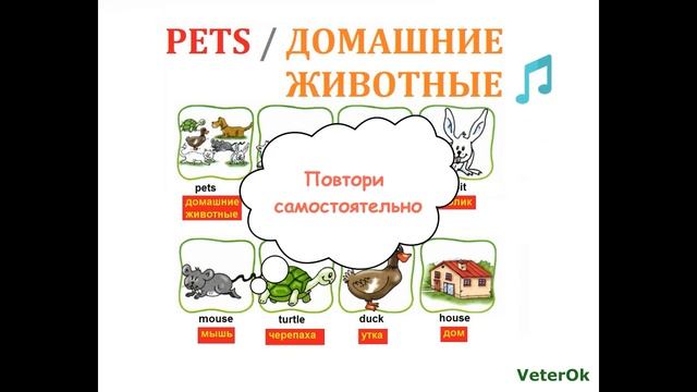 PETS / ДОМАШНИЕ ЖИВОТНЫЕ, английский язык, 1 класс, по учебнику Быковой (2013), произношение смотреть онлайн