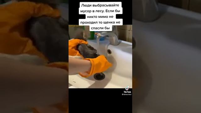 Спасли лисёнка ☺️🤗 смотреть онлайн