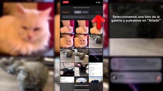? Cómo PONER FOTO En Apple Watch Series 7 De Fondo De Pantalla  ✔️ Configurar Apple Watch Series 7