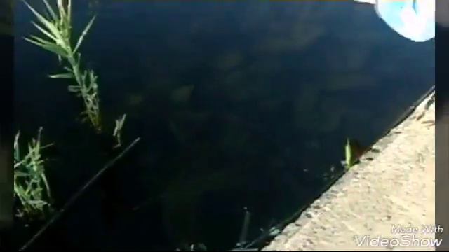 2 выпуск . Неудачная ловля хищника на живца. смотреть онлайн