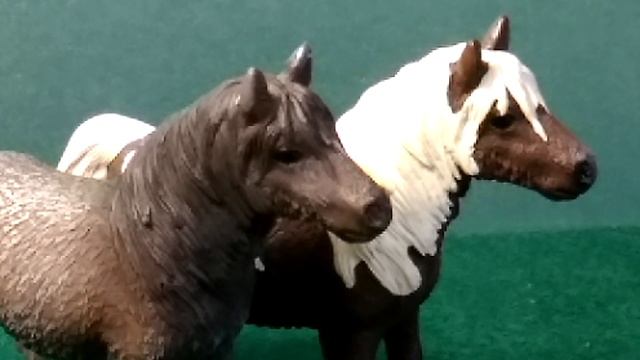 Сравнения лошадок. Мерины Шотландского пони смотреть онлайн