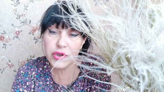 П.П.Бажов СЕРЕБРЯНОЕ КОПЫТЦЕ .