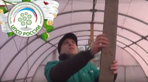 Как подготовить теплицу к зиме. Как установить подпорки.