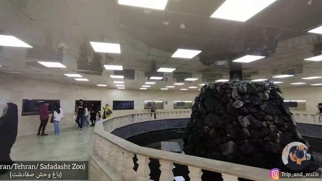 (Safadasht #zoo )صفادشت#باغ_وحش#iran смотреть онлайн