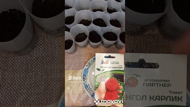 ПОСАДКА МОНГОЛ КАРЛИКА ОТ АГРОФИРМЫ ПАРТНЕР В 2023Г. ОГОРОД НА КУБАНИ. shorts# смотреть онлайн