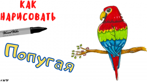 Как Легко Нарисовать Попугая