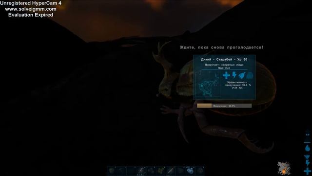 скарабей смотреть онлайн