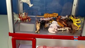 Wild Animals Surprise Toys Game in The Claw Machine │ Learn Animals Names For Kids