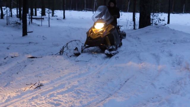 Снегоход Тикси 250 Люкс смотреть онлайн