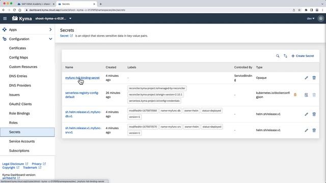 BTP Serverless: Python & SAP HANA Cloud смотреть онлайн