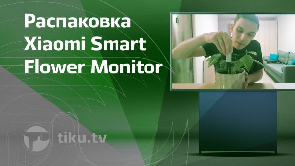 Xiaomi Smart Flower Monitor