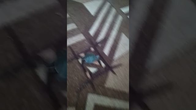 Ползущая черепаха ? смотреть онлайн