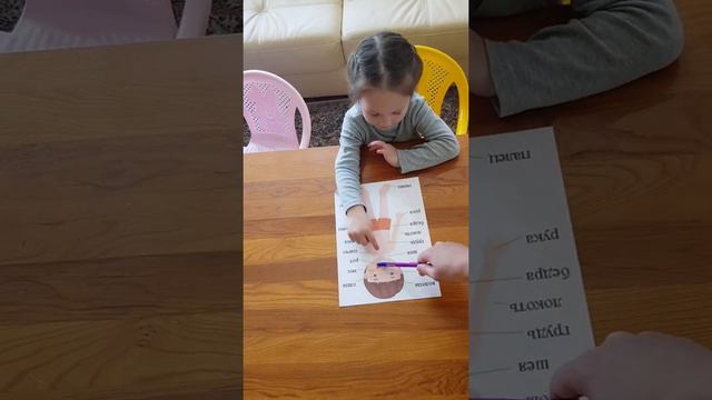 Анатомия для детей - строение тела человека. #ева #развитие #занятиясдетьми смотреть онлайн
