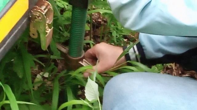 ПЛАТФОРМА ДЛЯ ПЧЁЛ.mp4