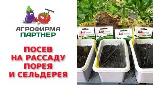 ПОСЕВ НА РАССАДУ ПОРЕЯ И СЕЛЬДЕРЕЯ