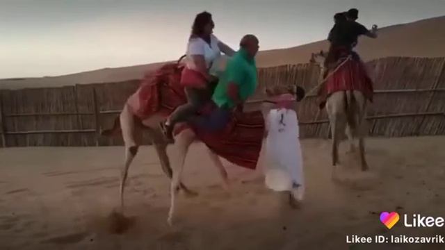 Туя кутара олмади бечора🤣🤭 смотреть онлайн