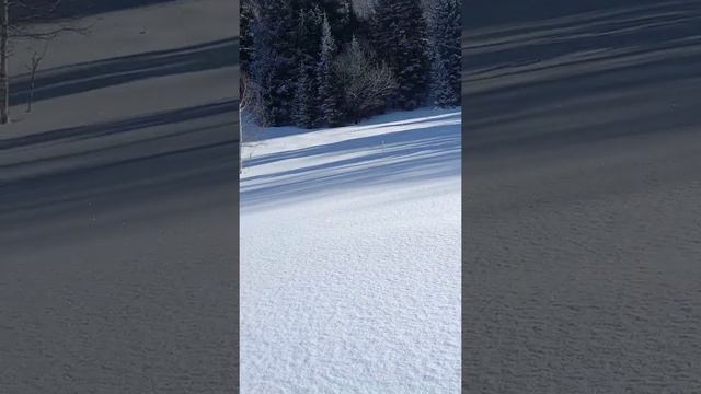 Ты навеки Святая Святых! Стихи о селе. Татьяна Чанчибаева смотреть онлайн