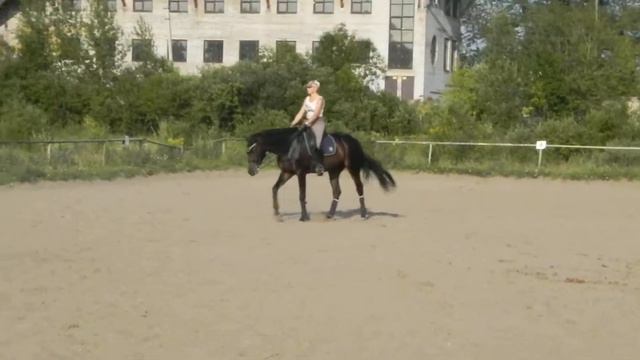 езда смотреть онлайн