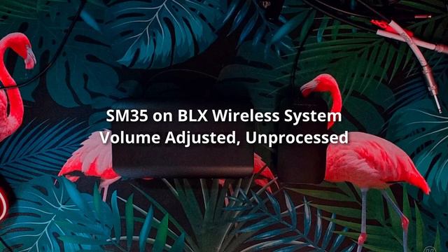 Shure BLX4 with SM35 - Set Up, Sound Test, and Review смотреть онлайн