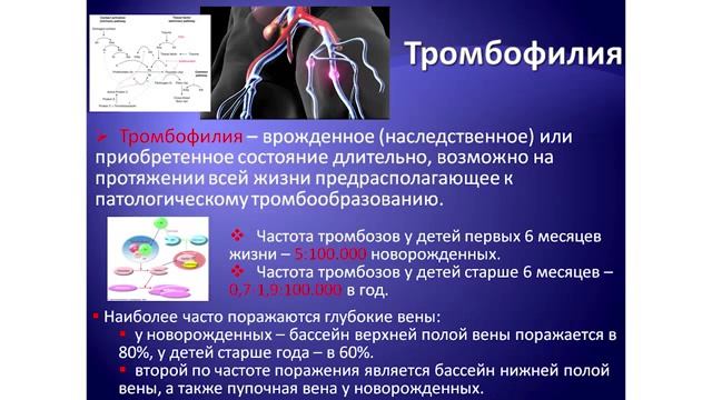 XVII Российский онкологический конгресс В.С. Кочкин смотреть онлайн