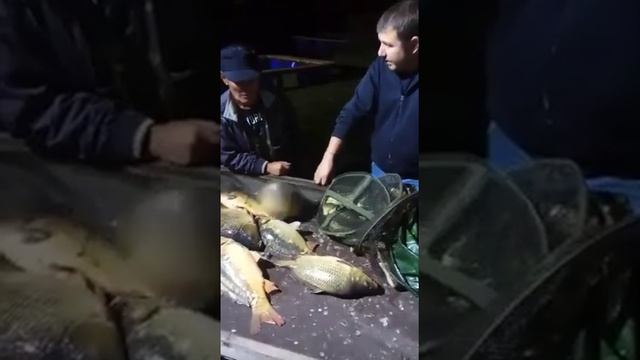 Оз. ИГУМНОЕ, супер клев смотреть онлайн