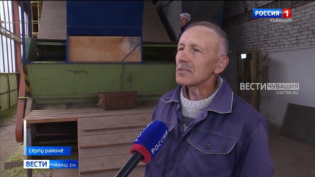Республикӑра "симӗс ылтӑн" пуҫтарма тытӑннӑ смотреть онлайн