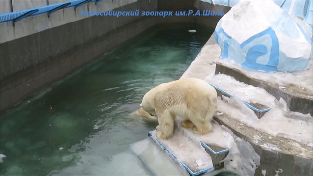 Герда плавает, Кай наблюдает 31.03.2022 смотреть онлайн