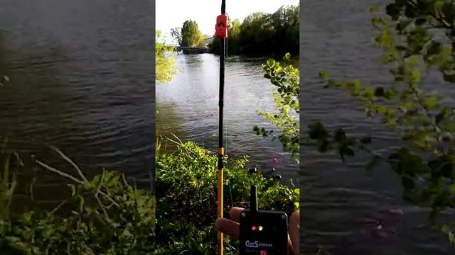 Ловля сома весной. Рыбалка в мае на сома. смотреть онлайн