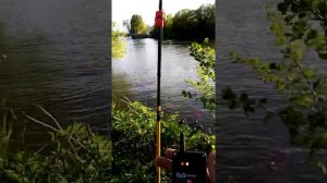 Ловля сома весной. Рыбалка в мае на сома.