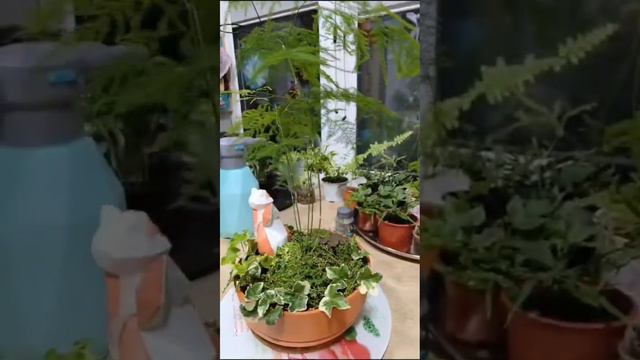 СветикИваЮг