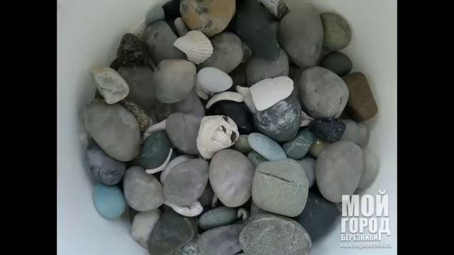 Правильное содержание и уход за красноухими черепахами смотреть онлайн