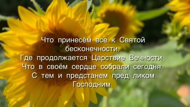 Царство Небесное в сердце рождается! христианский стих (читает автор Анна Юркин) смотреть онлайн
