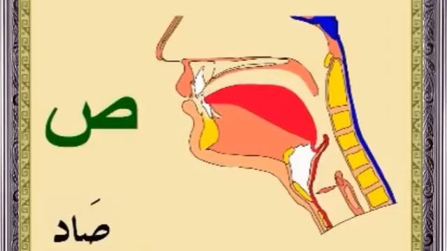 Арабский алфавит. Произношение и написание (مخارج الحروف) смотреть онлайн