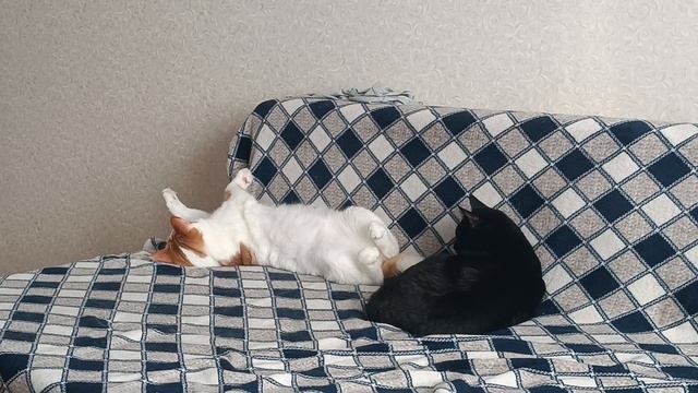 Кузя и Кнопка смотреть онлайн