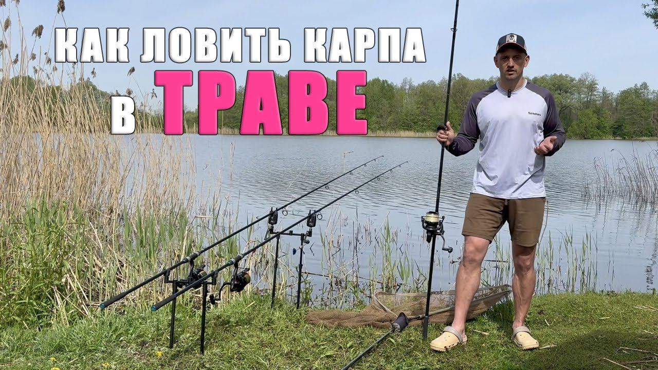 Как ловить карпа и сазана в траве. Карпфишинг 2024 смотреть онлайн