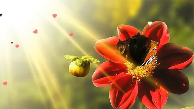 Хорошего тебе настроения, дорогой друг!!!