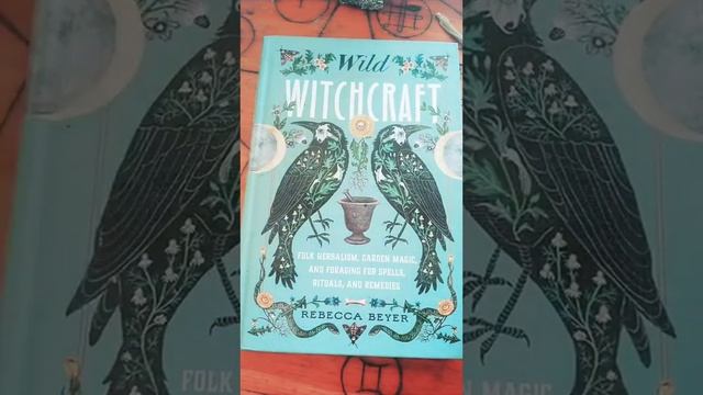 Appalachian Folk Magic Recommendation #AppalachianFolkmagic #witchcraft #southernconjure смотреть онлайн