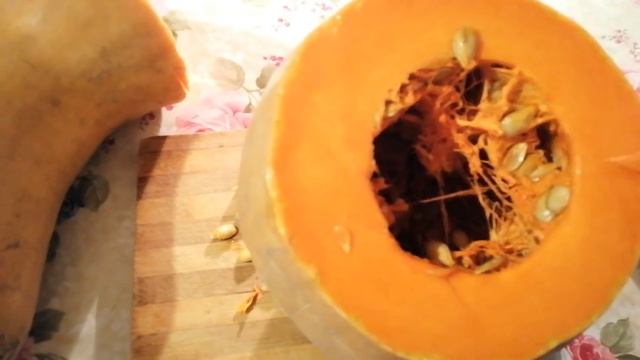 МОЙ ЛЮБИМЫЙ СОРТ ТЫКВЫ смотреть онлайн