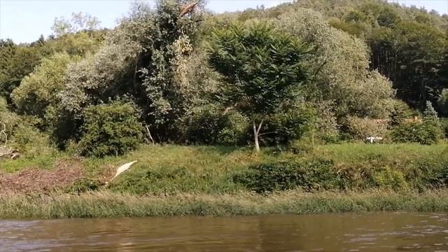 По Эльбе под парусом. 11. Вверх по течению смотреть онлайн