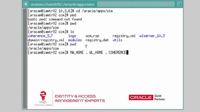 Oracle Identity Manager (OIM) 11gR2 Installation Part I смотреть онлайн
