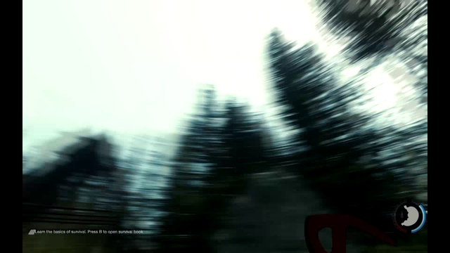 The Forest - Обзор