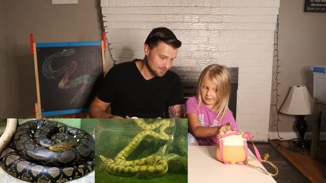 Australia's Coolest Extinct Snake - The Wonambi смотреть онлайн