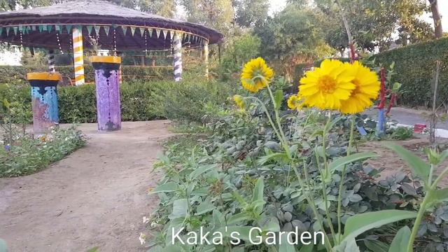 #flowers #barish #Bulandi #ahmedabad #WANG #Roonjah #Kaka's #Bela #Balochistan #kaka #morning смотреть онлайн