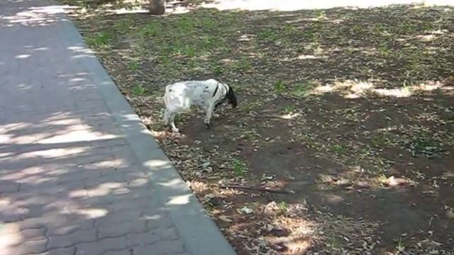На прогулке смотреть онлайн