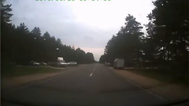 Олени на дороге! смотреть онлайн