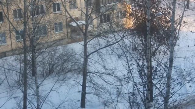 Шабаш свиристелей! смотреть онлайн