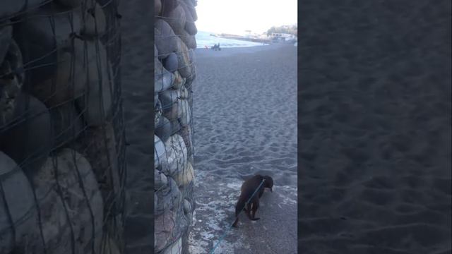 Моя Алушта спит...Ссылка на видео:https://youtu.be/ZHa5O4fvhkc смотреть онлайн